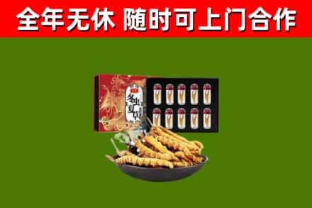 秦淮区烟酒回收冬虫夏草礼盒.jpg