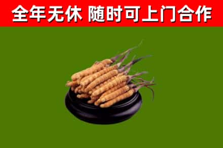 秦淮区烟酒回收冬虫夏草.jpg