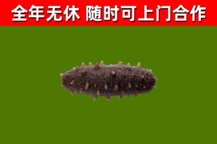 秦淮区烟酒回收干海参.jpg